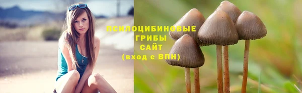 молекула духа Белокуриха