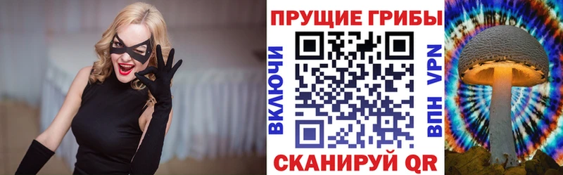 Псилоцибиновые грибы мухоморы  Купить где  Козельск 