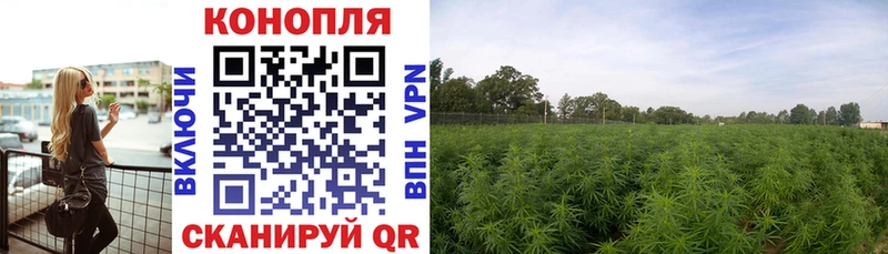 Марихуана Amnesia  Купить где  Козельск 